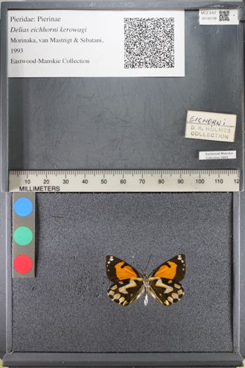 Media type: image;   Entomology 140138
